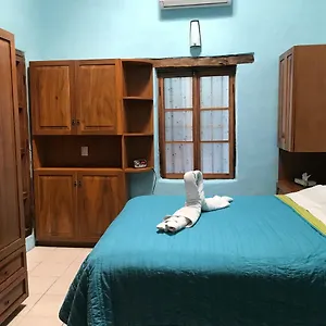 https://la-casa-amarilla-in-the-famous-historico-centro-mazatlan.mazatlan-hotels.com